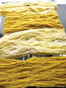 Natural Dyes: Madder and Weld Image
